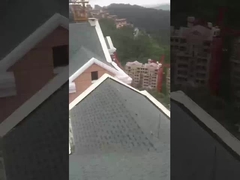 लकड़ी के दाने रंगीन पत्थर लेपित टाइल जलरोधी पत्थर लेपित धातु टाइल